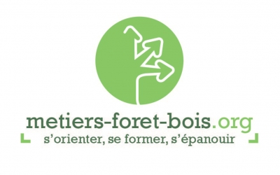 formation-foret-bois