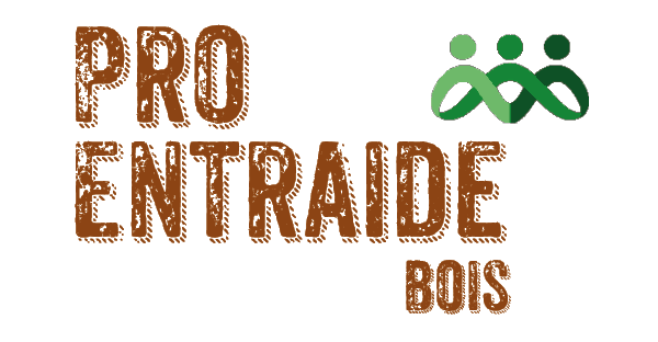 logo peb bd logo peb bd